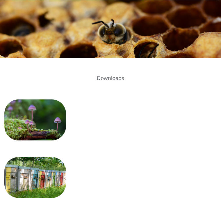 Downloads